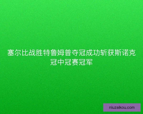 塞尔比战胜特鲁姆普夺冠成功斩获斯诺克冠中冠赛冠军