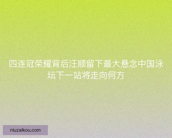 四连冠荣耀背后汪顺留下最大悬念中国泳坛下一站将走向何方